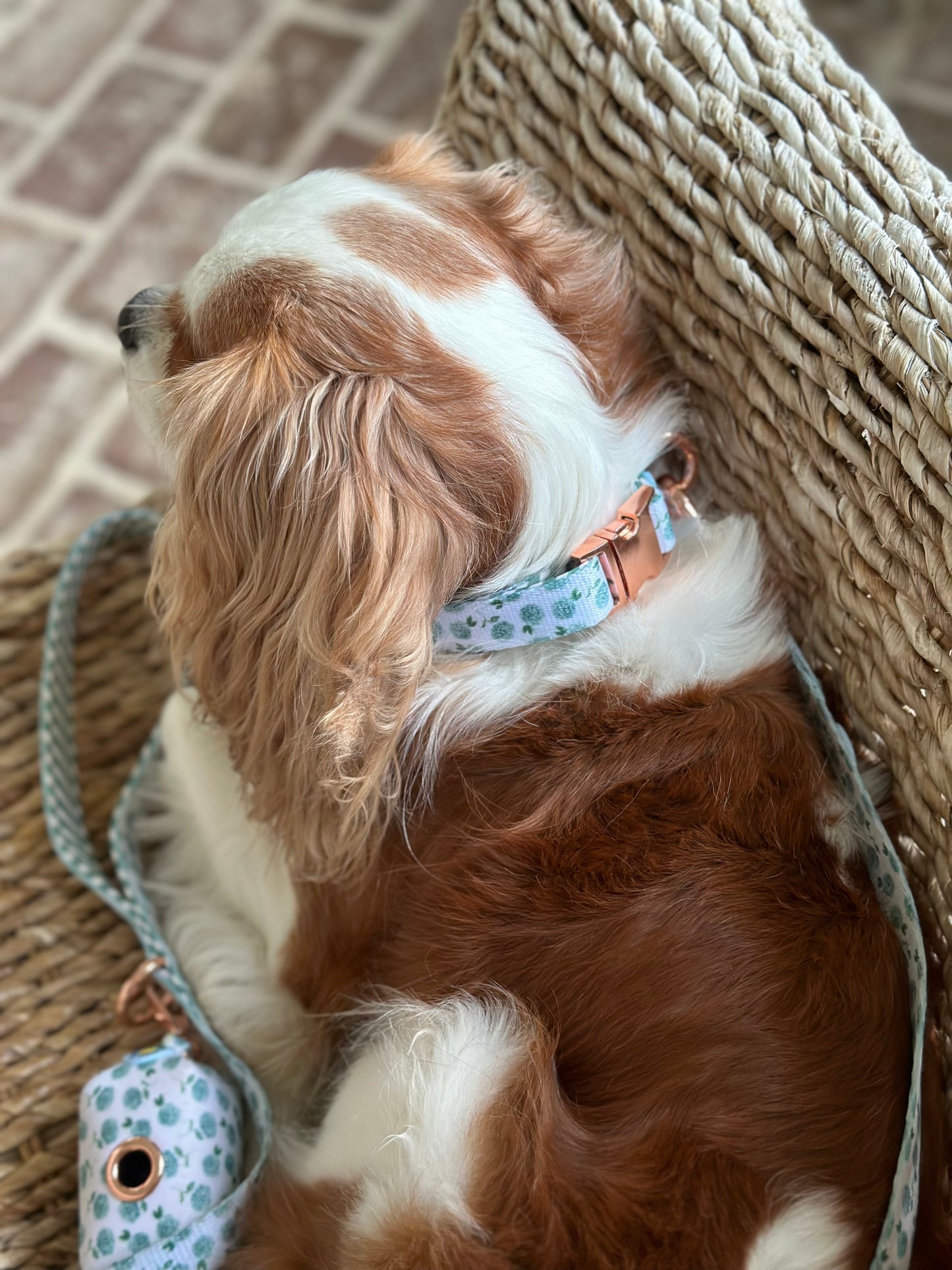 Green Hydrangea Dog Collar