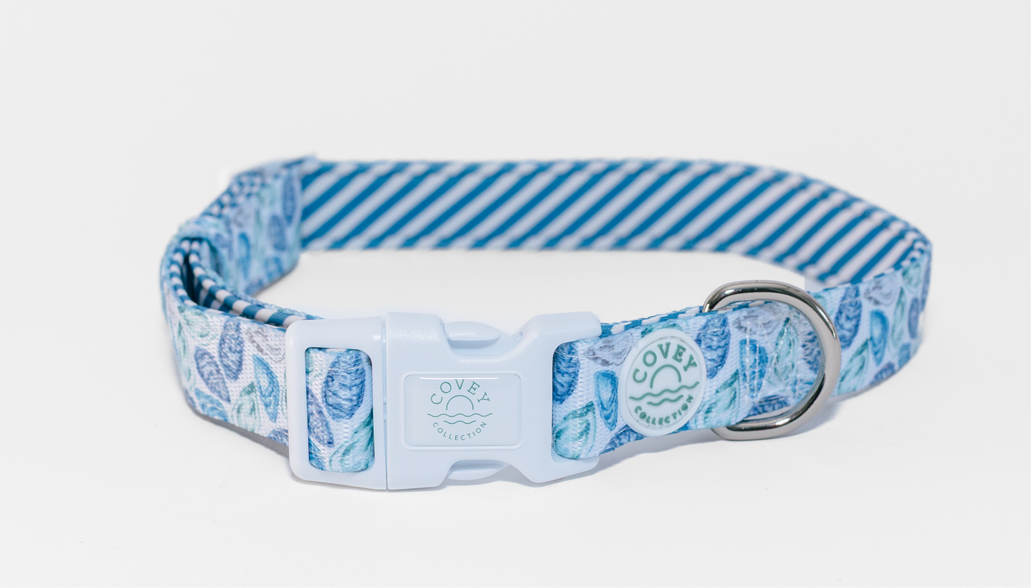 Blue Oyster Dog Collar