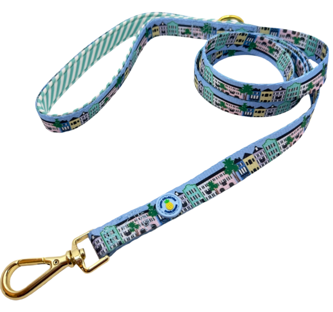 Rainbow Row Leash