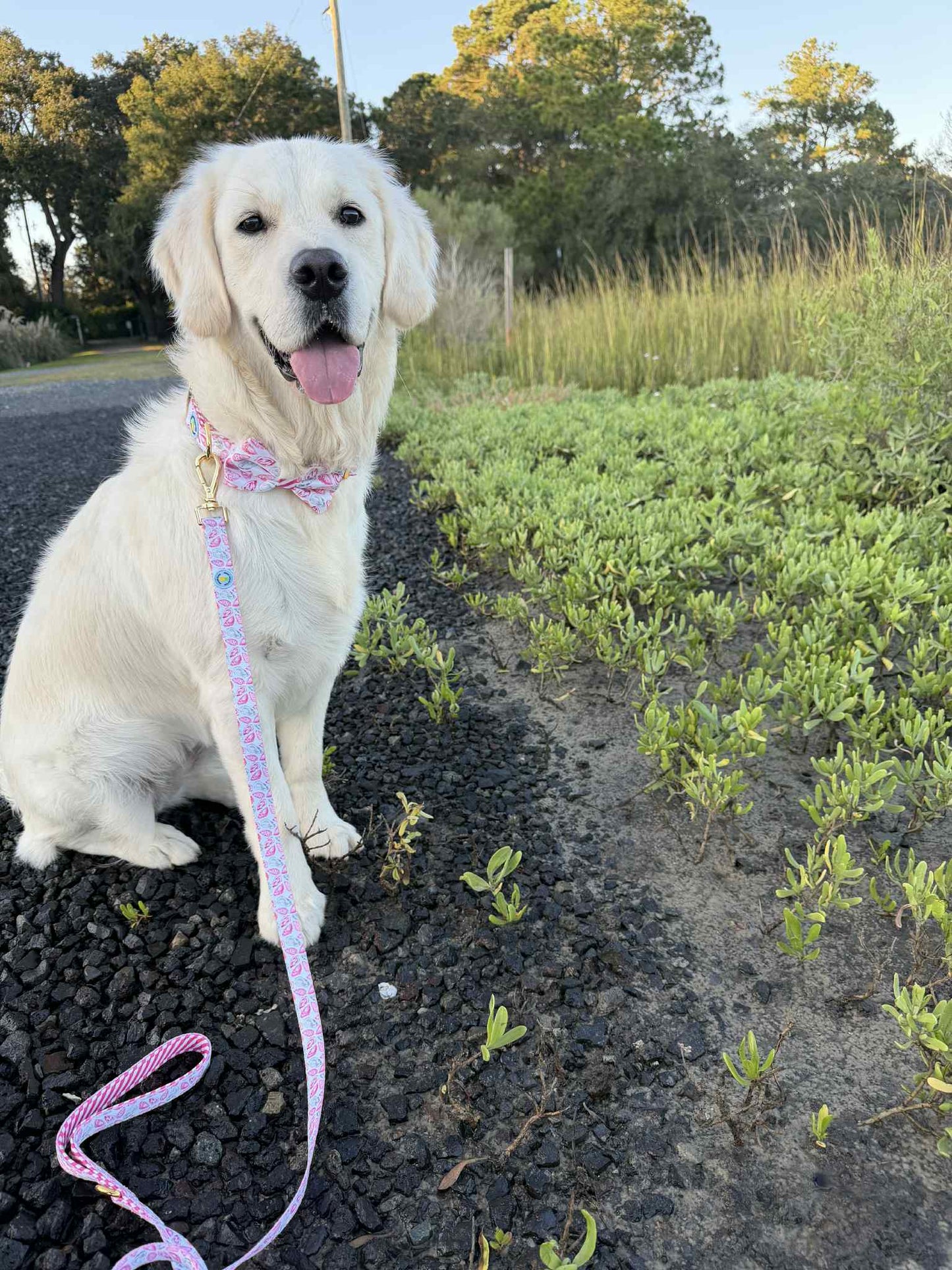 Pink Oyster Leash