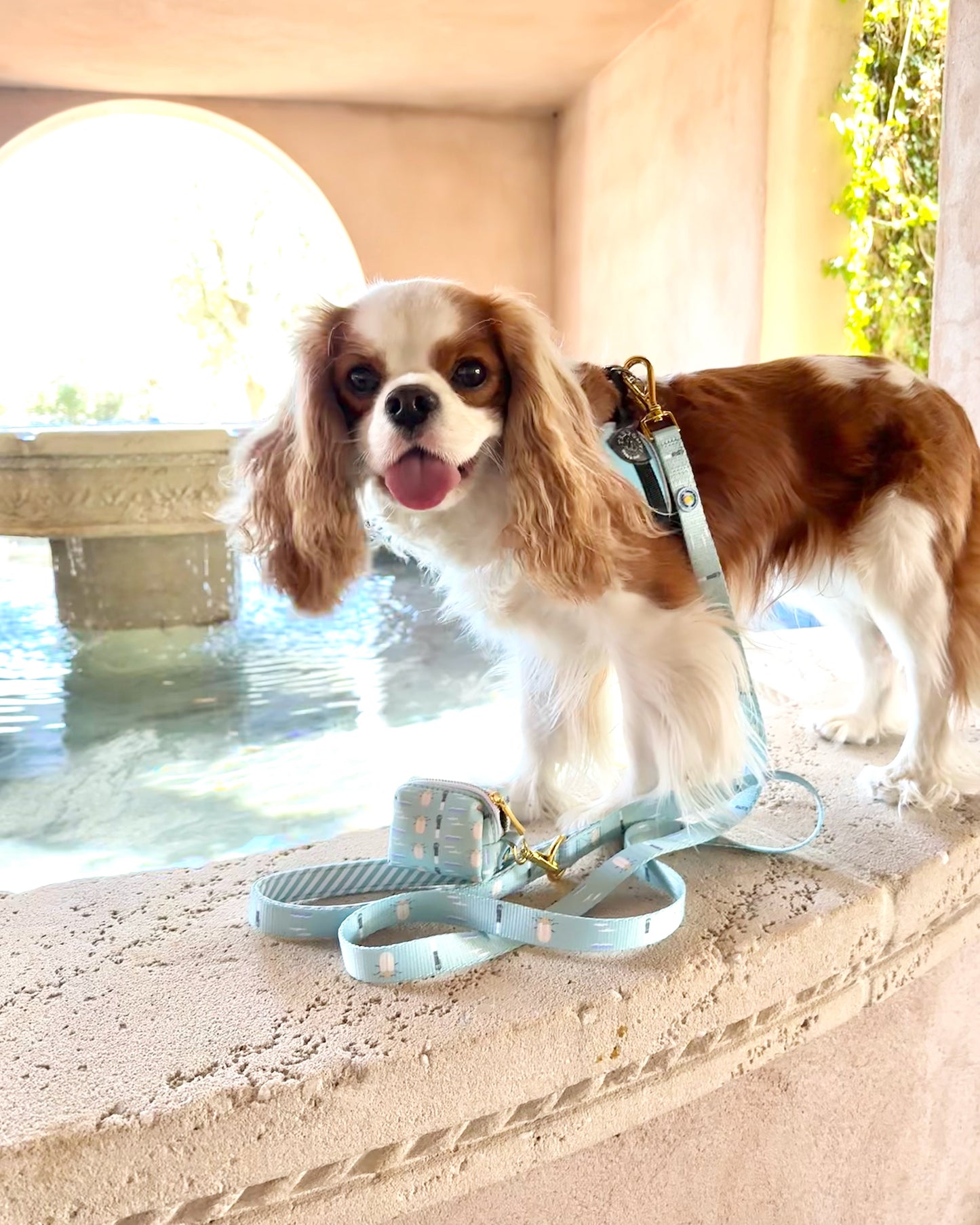 Sullivan's Island Leash