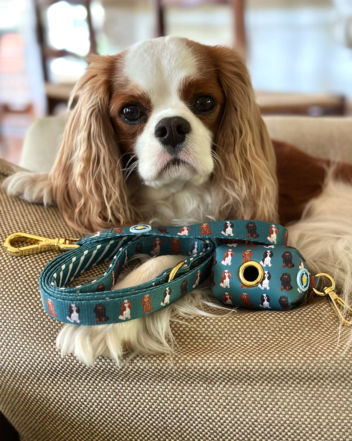 Cavalier Waste Bag Holder - Green