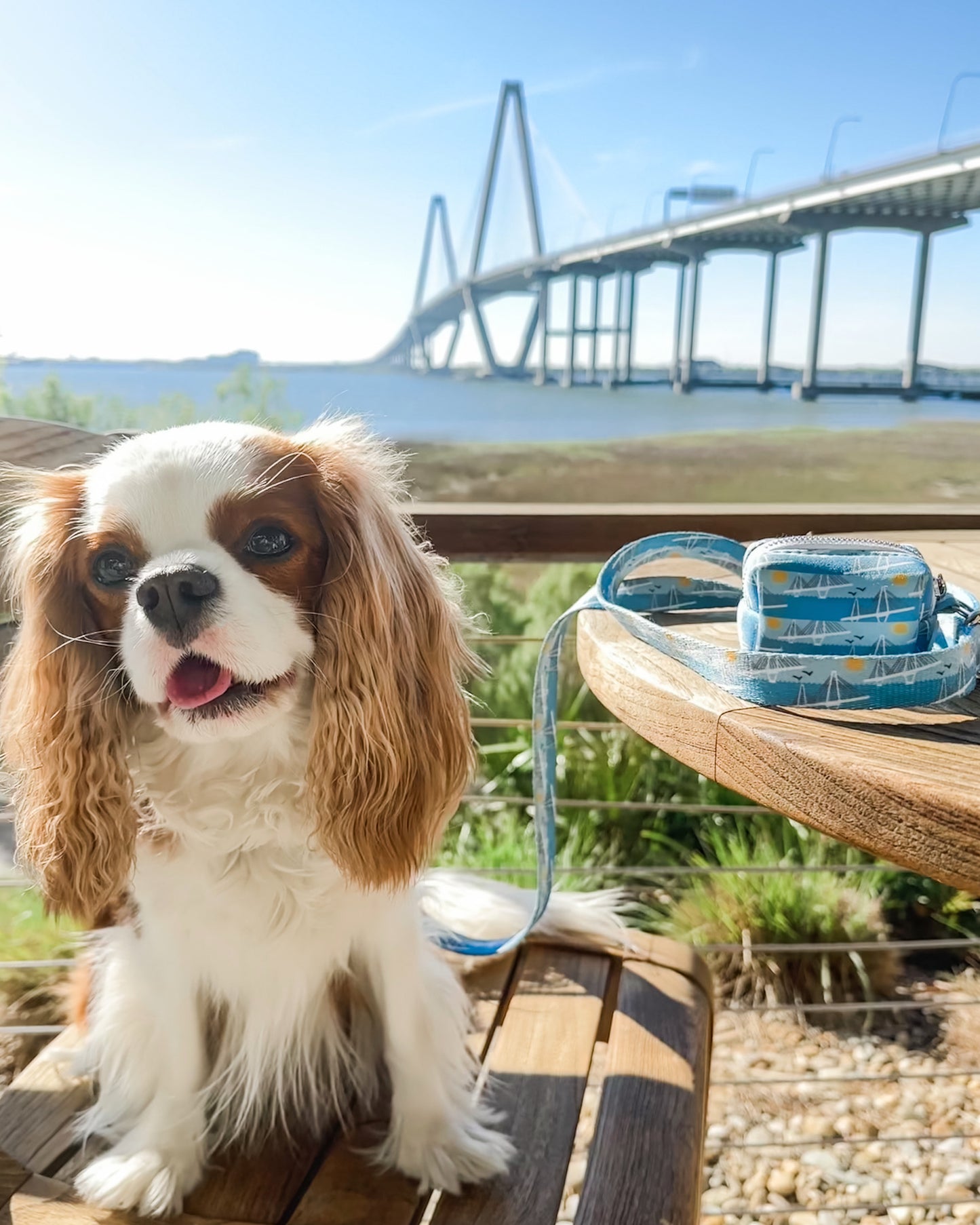 Ravenel Bridge Waste Bag Holder