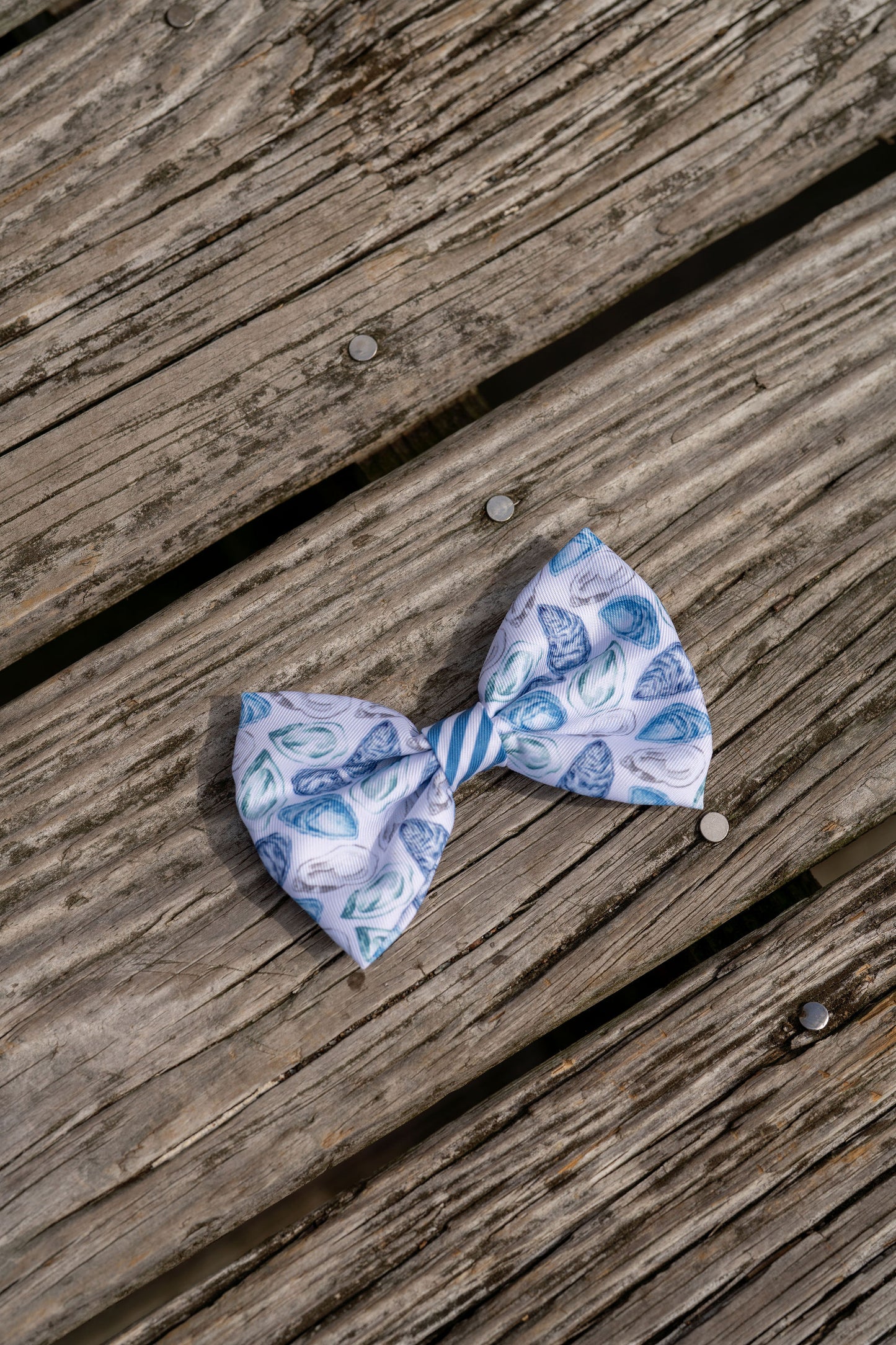 Oyster Bow Tie