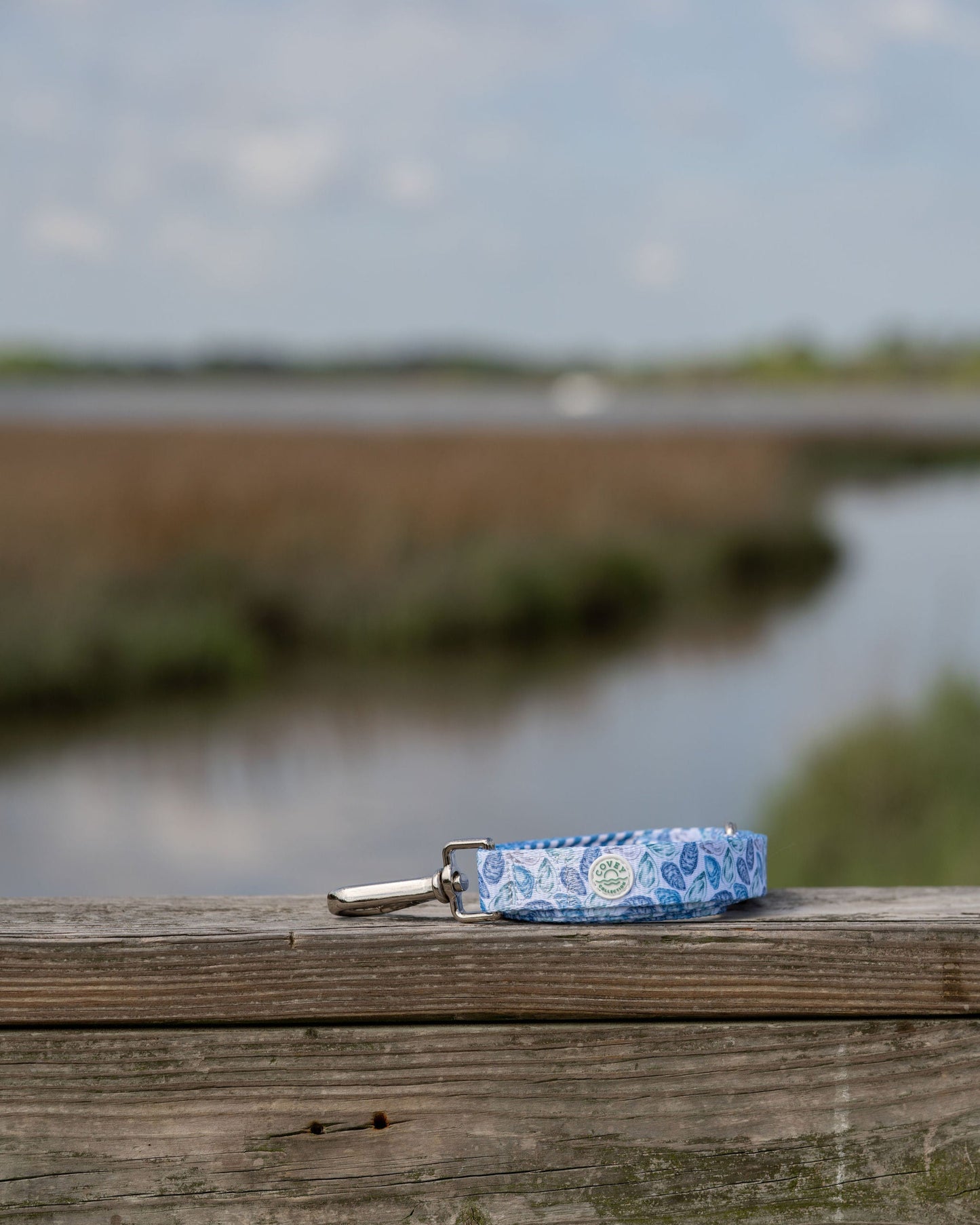 Blue Oyster Leash