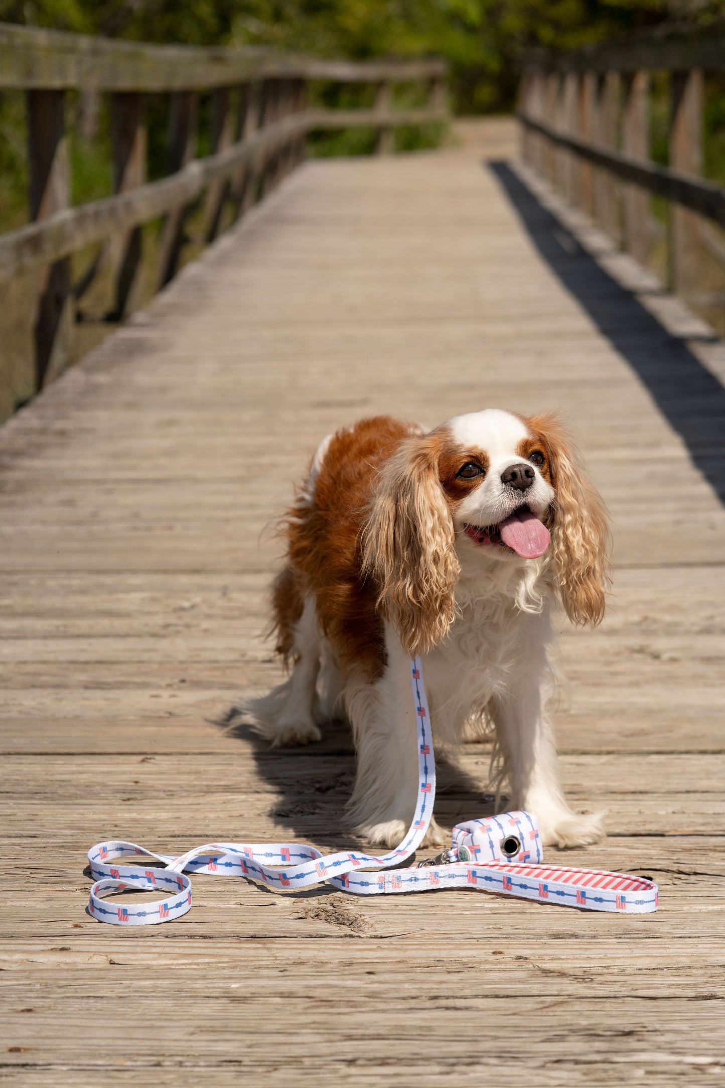 American Tide Leash
