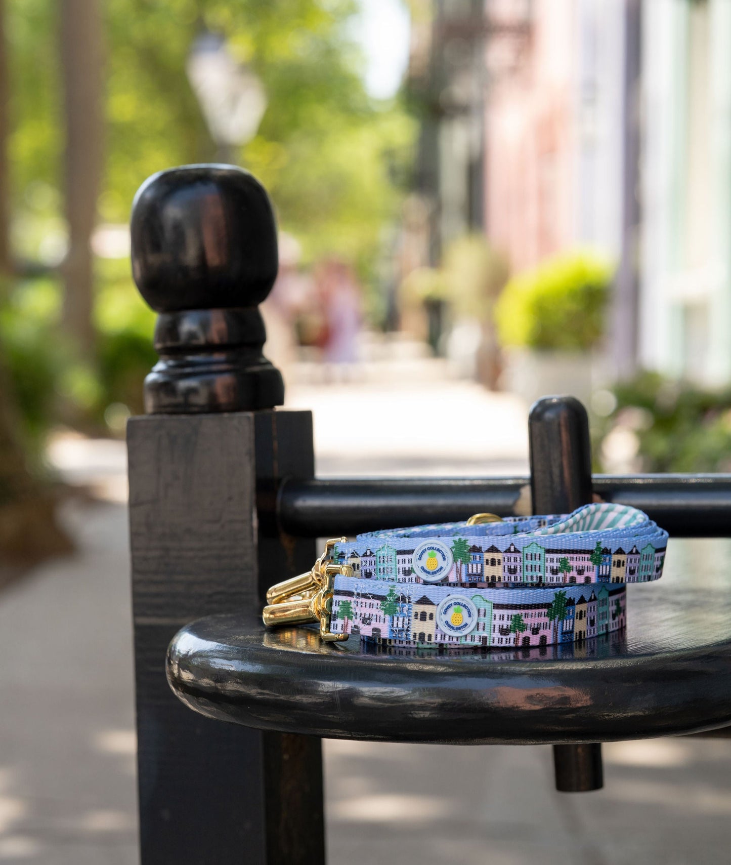 Rainbow Row Leash
