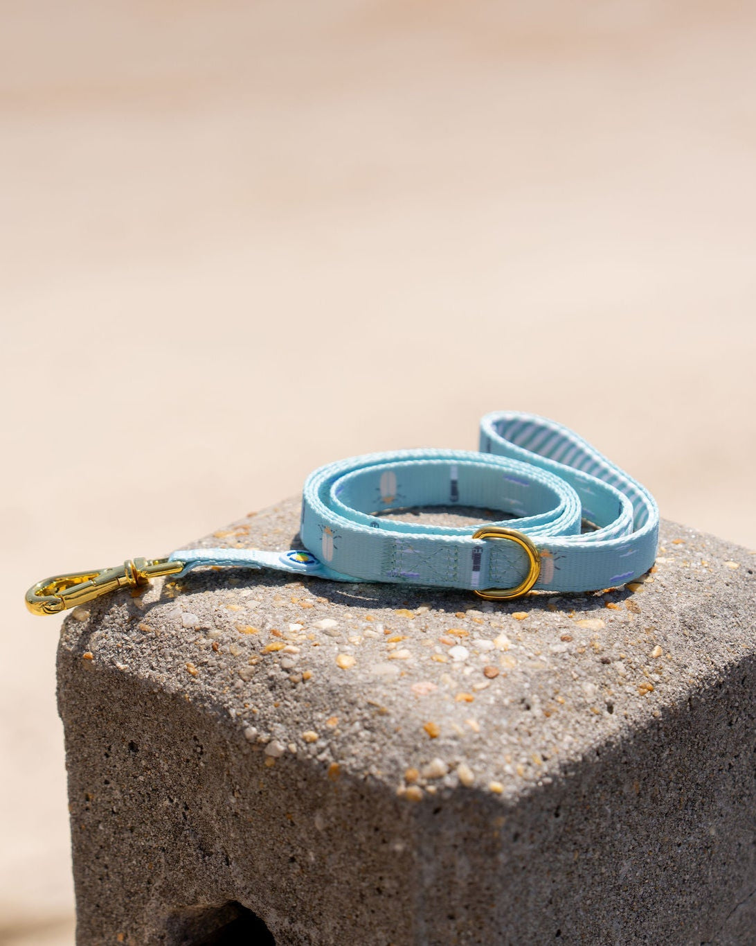 Sullivan's Island Leash