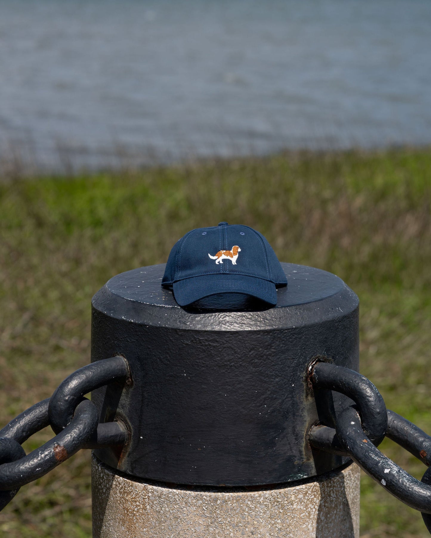 Cavalier Hat - Adult