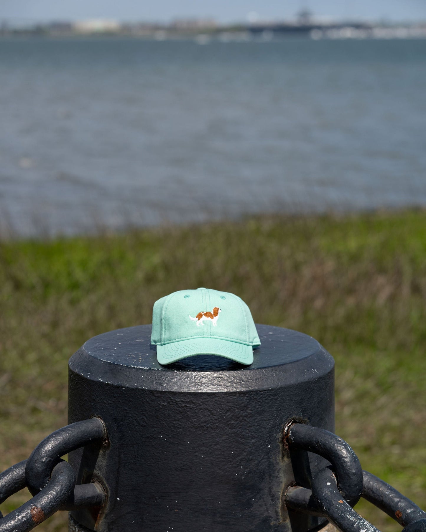 Cavalier Hat - Adult