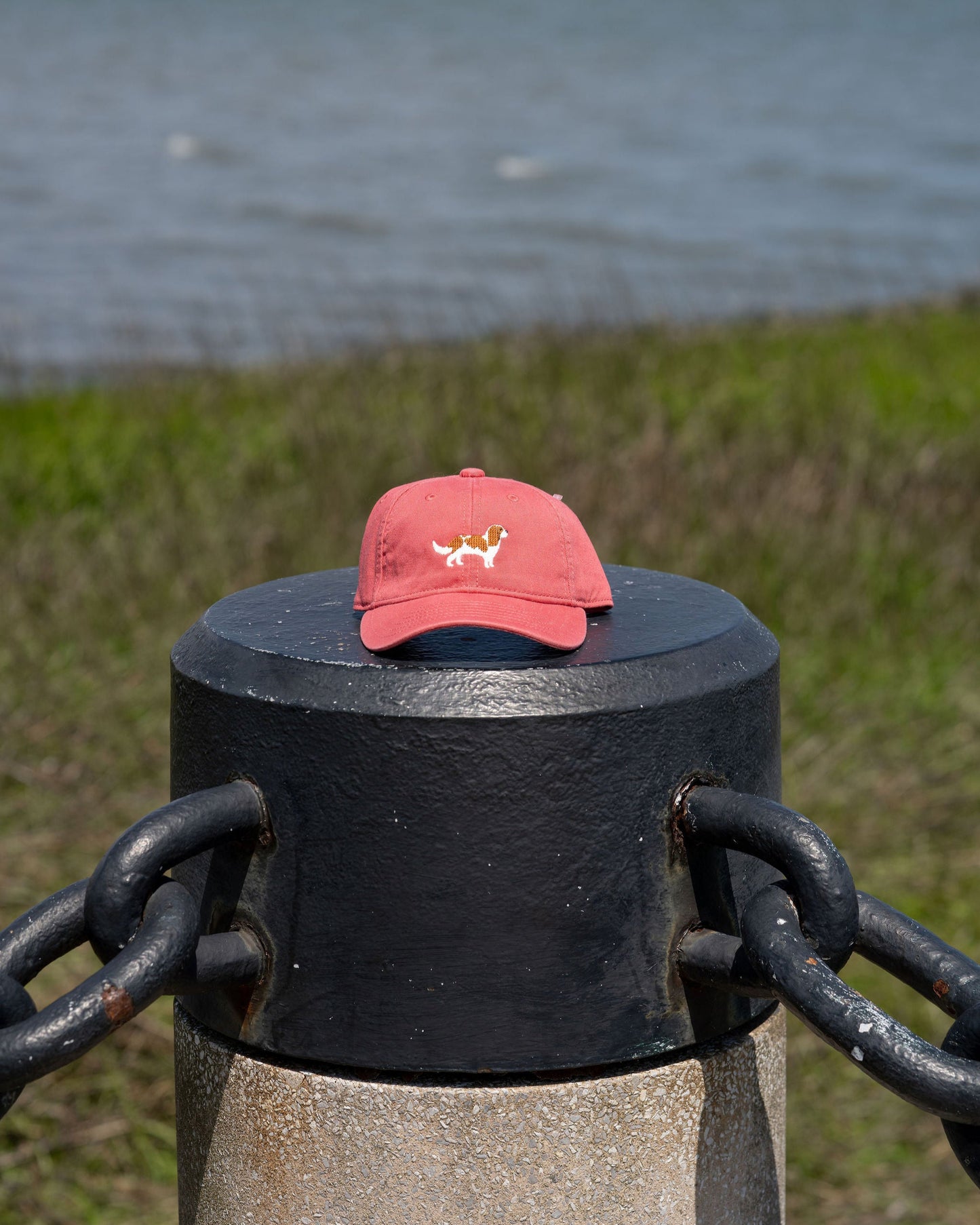 Cavalier Hat - Adult