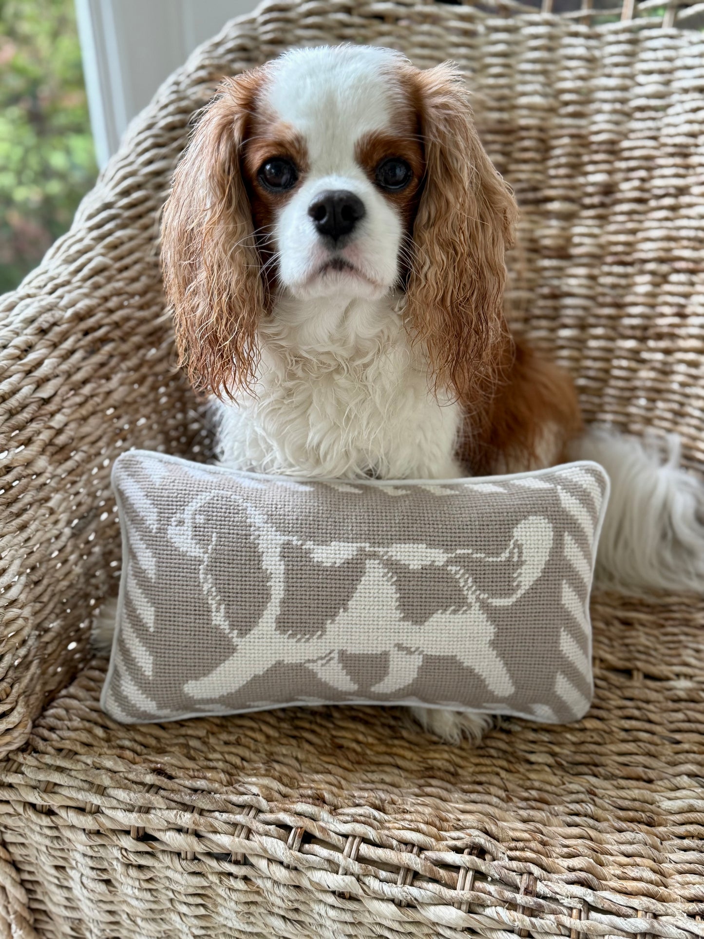 Cavalier Pillow