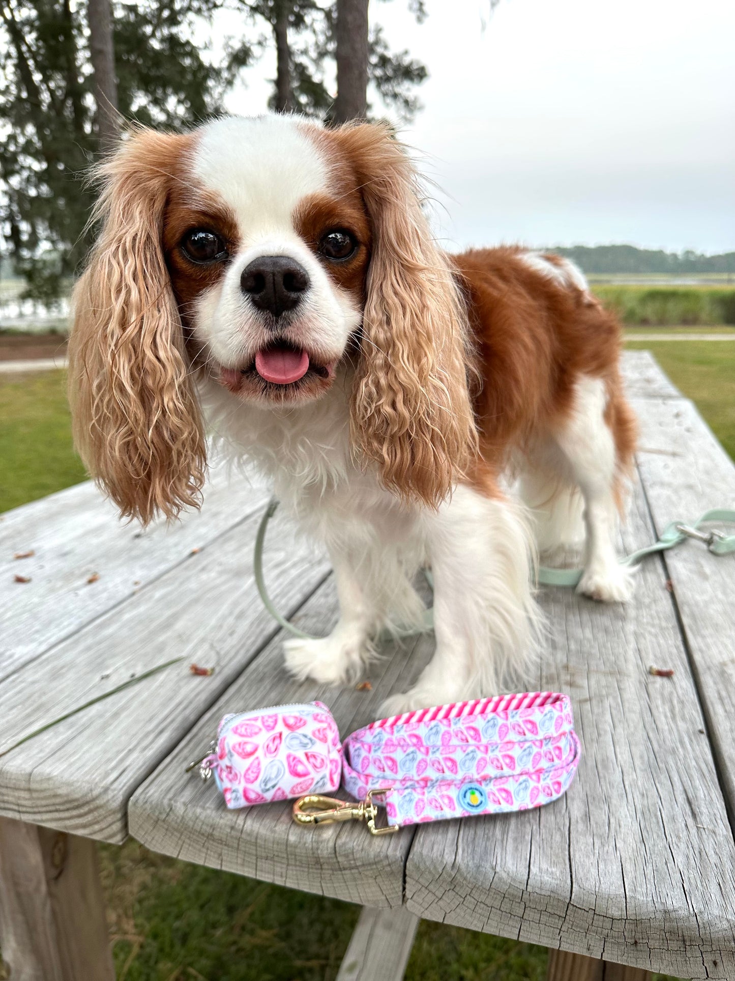 Pink Oyster Leash