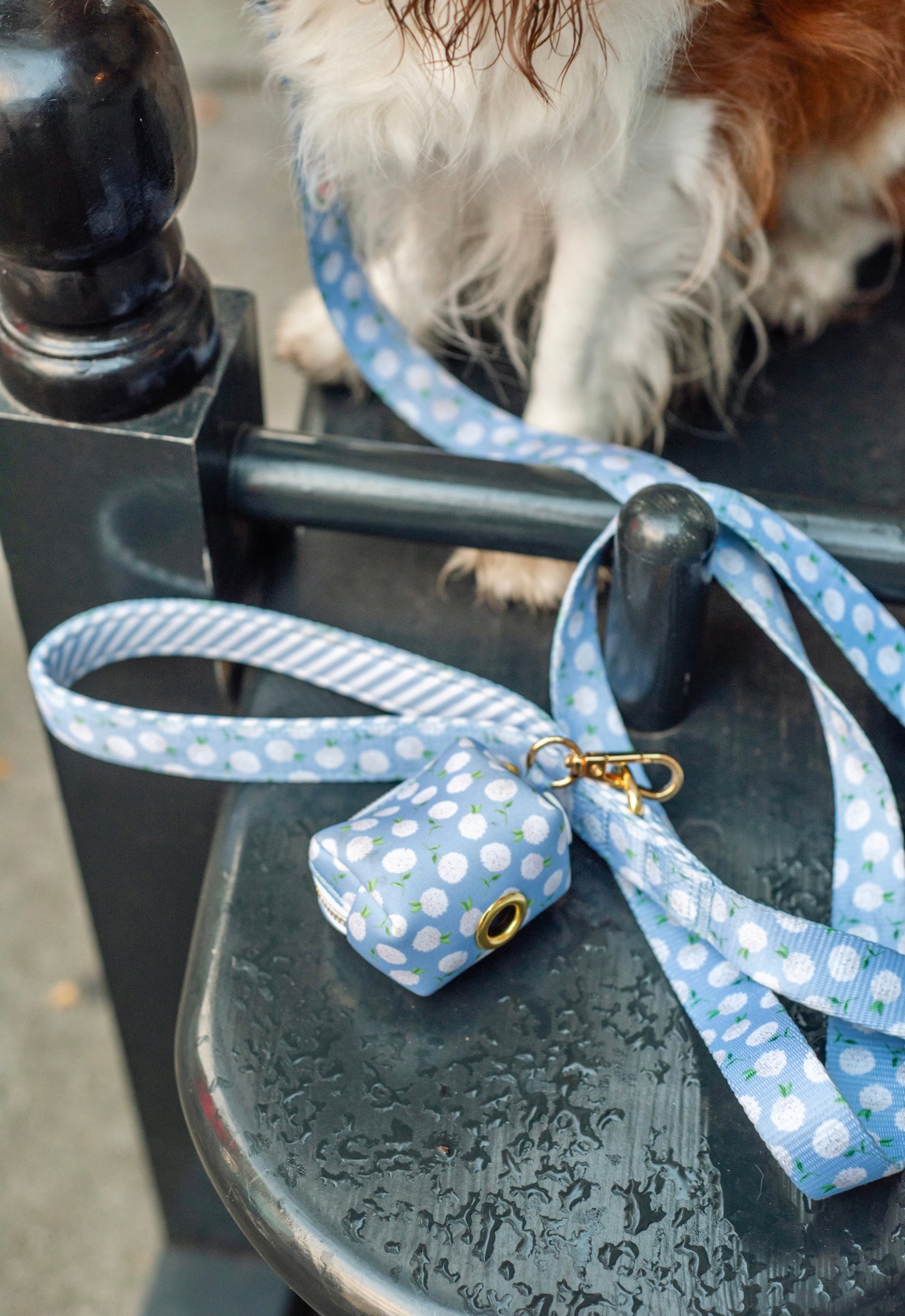 White Hydrangea Leash