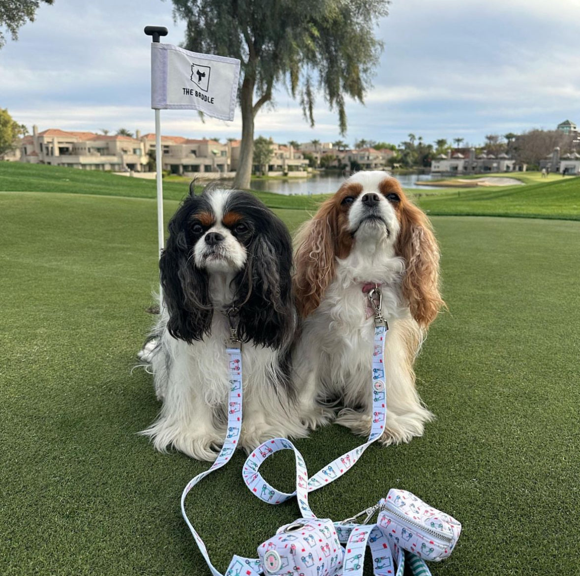 Golf Waste Bag Holder