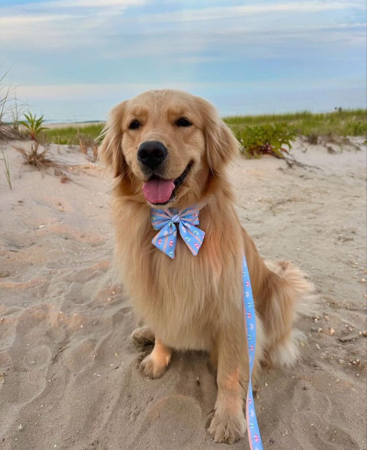 Sunshade Sailor Bow Tie