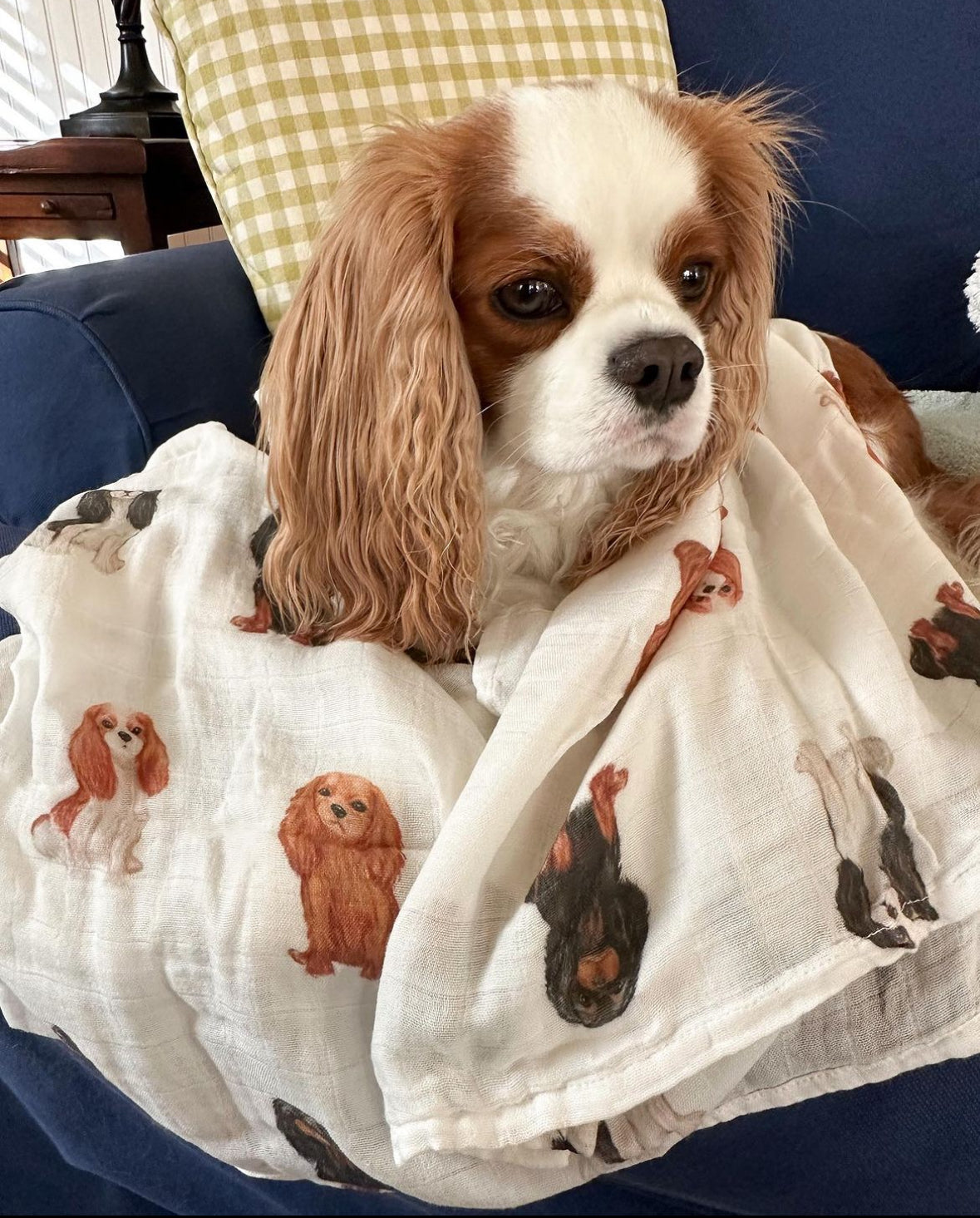 Muslin Swaddle Blanket