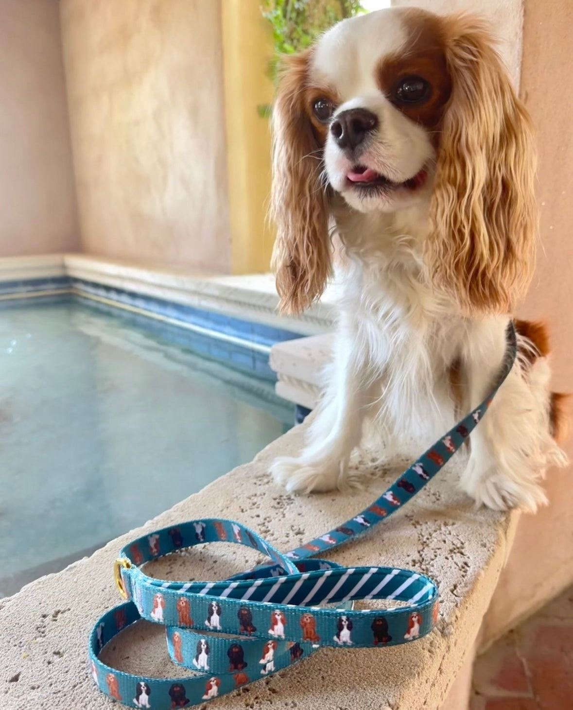 Cavalier Leash - Green