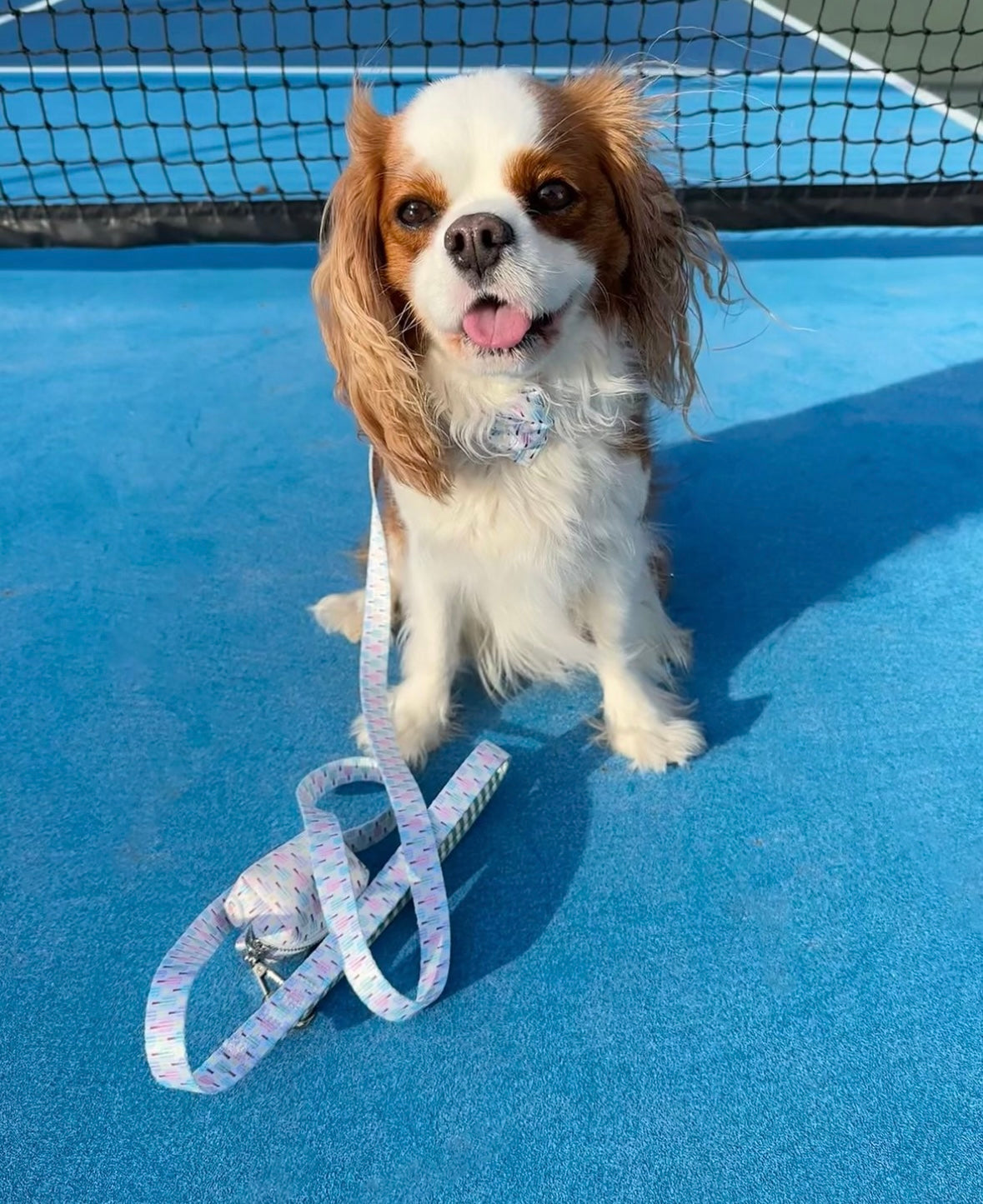 Pickleball Leash