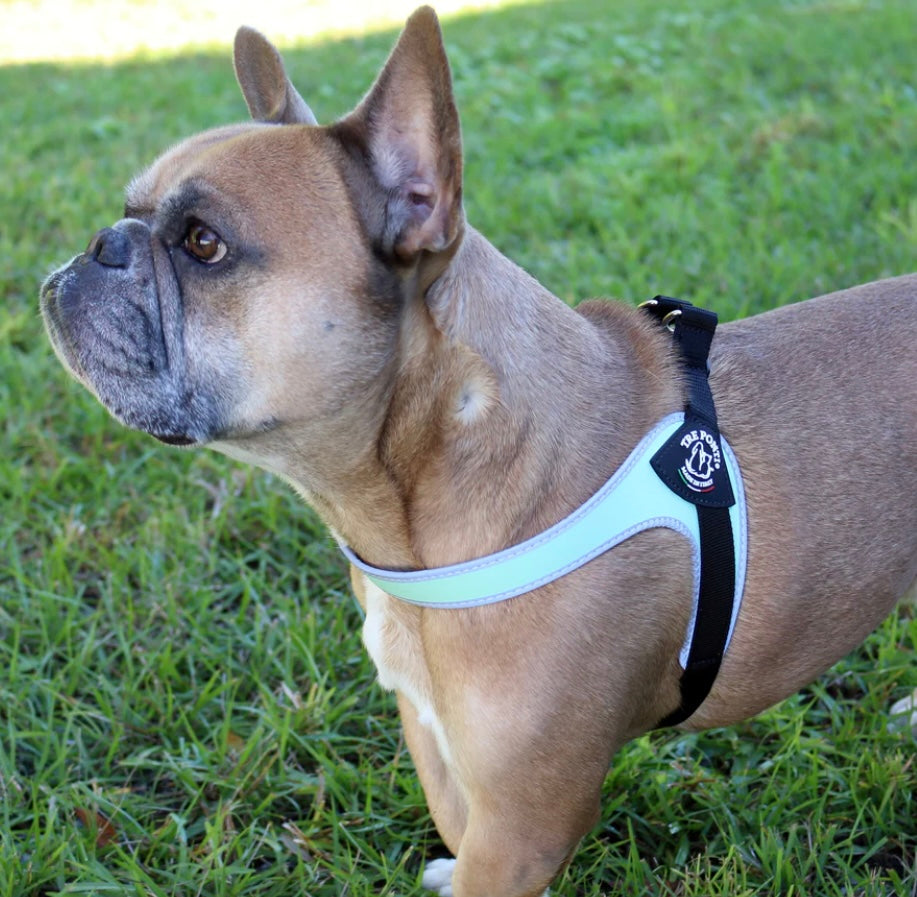 Tre Ponti Adjustable Harness - Mint