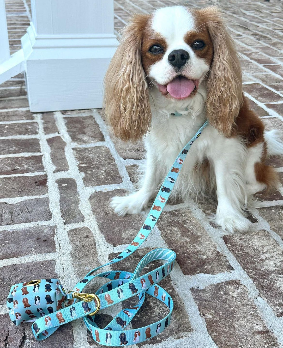 Cavalier Leash - Mint Green