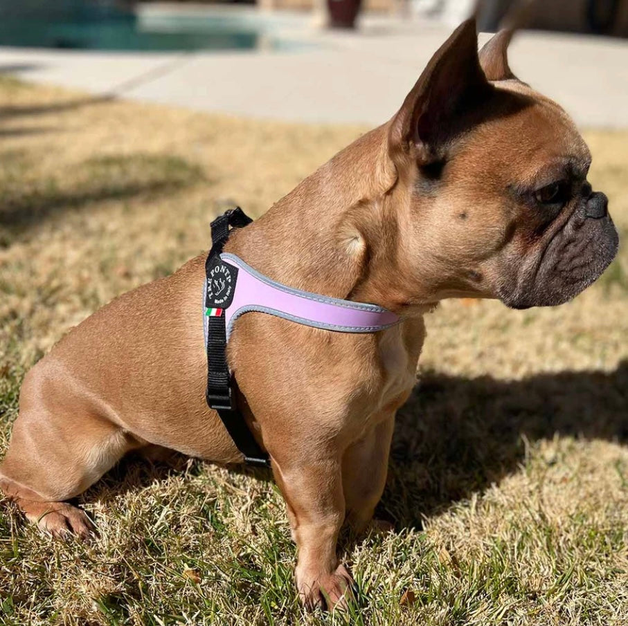 Tre Ponti Adjustable Harness - Pink