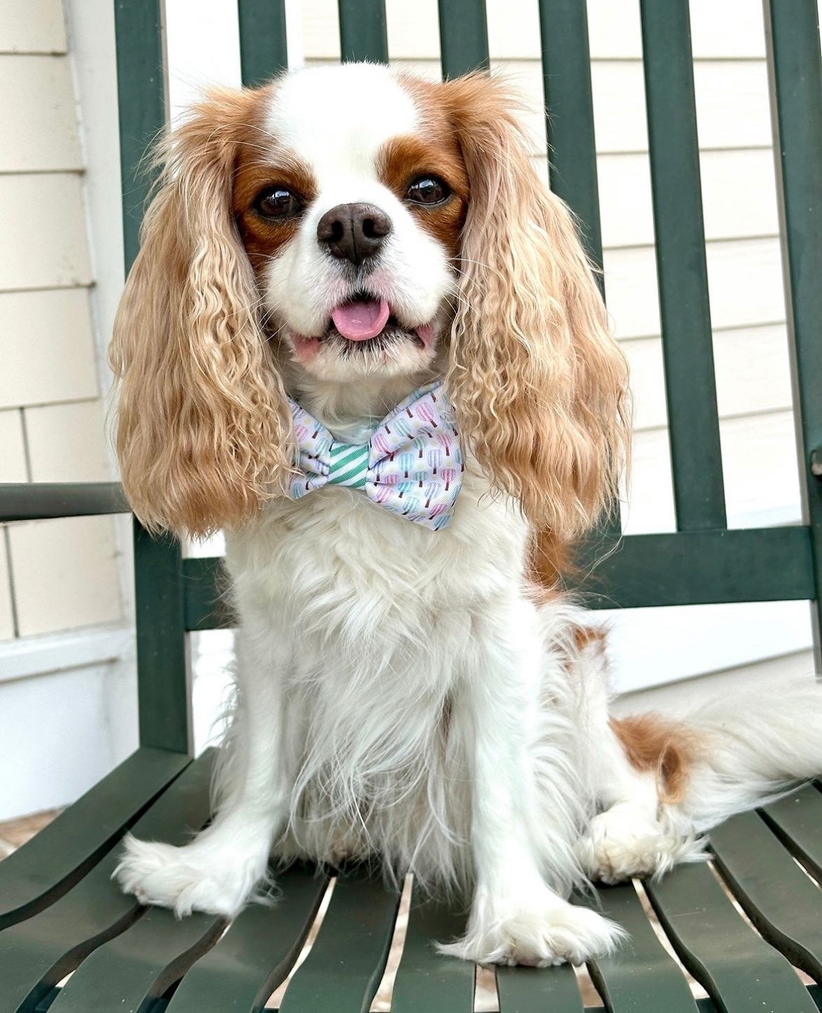 Pickleball Bow Tie