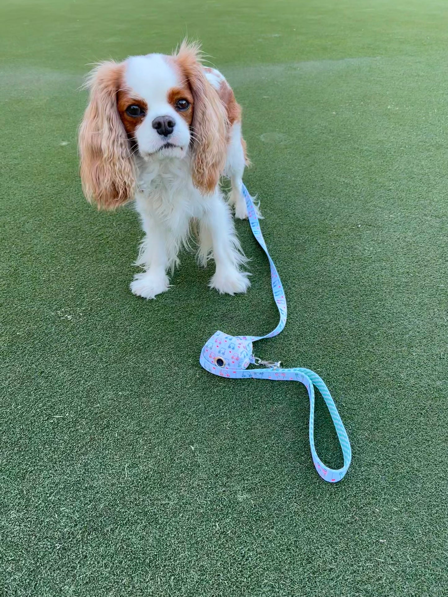 Golf Leash