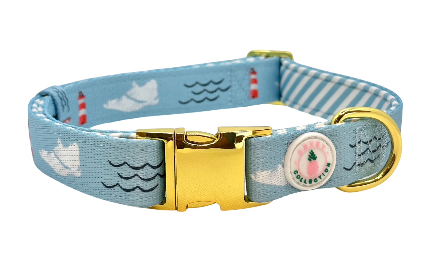 Hilton Head Island Dog Collar