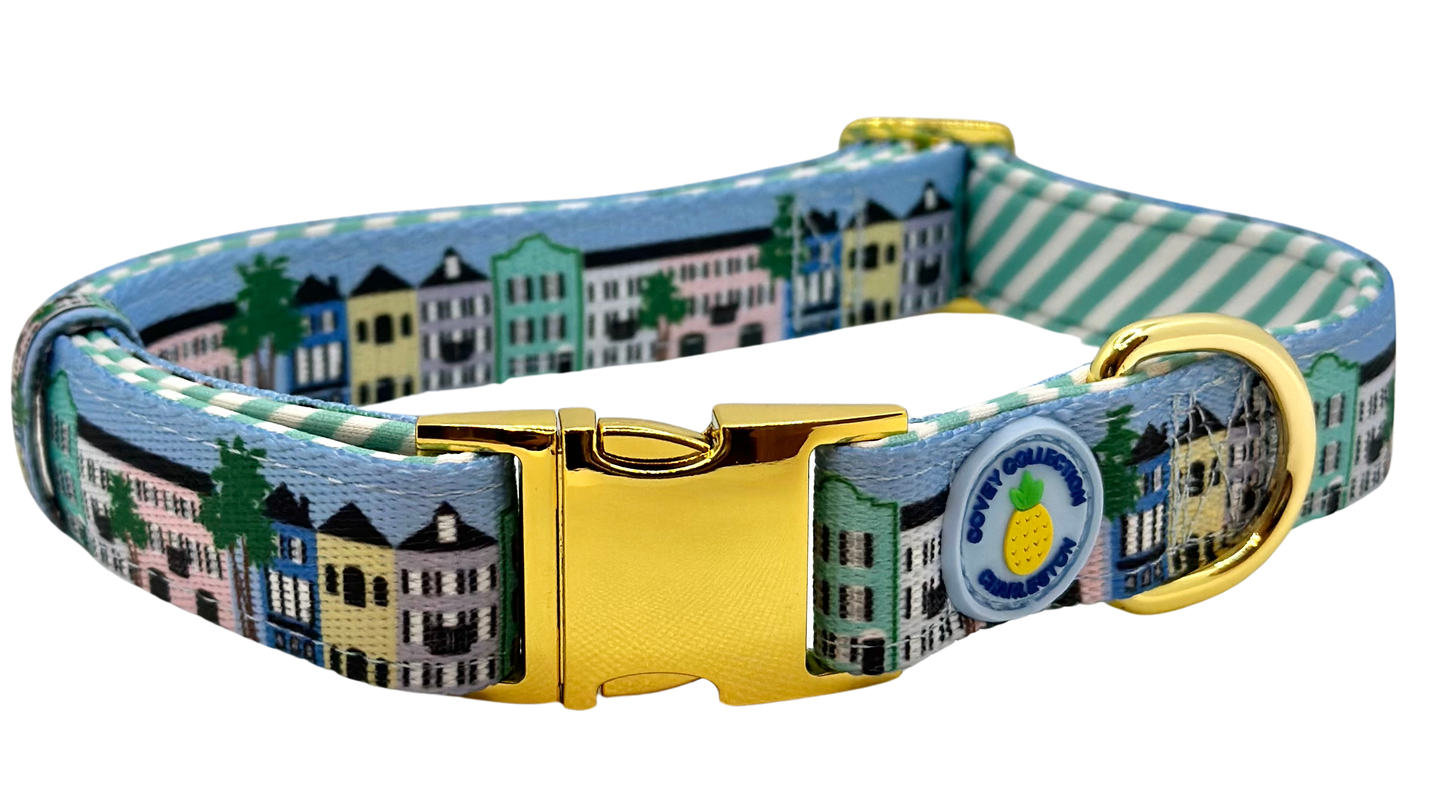 Rainbow Row Dog Collar