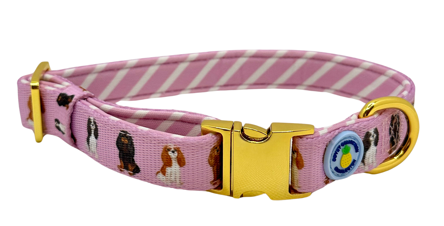 Cavalier Dog Collar - Pink