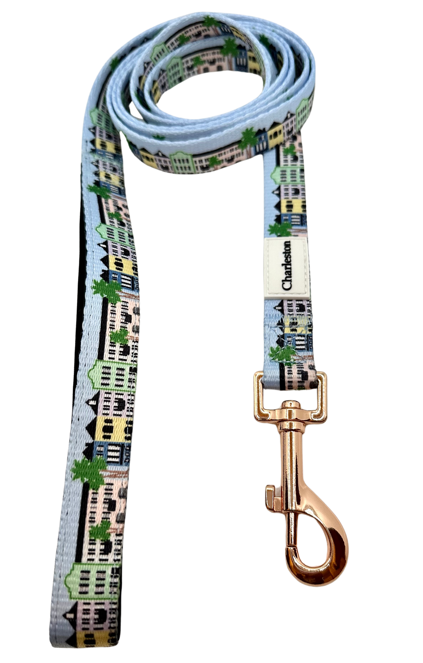 Rainbow Row Leash - Charleston Edition
