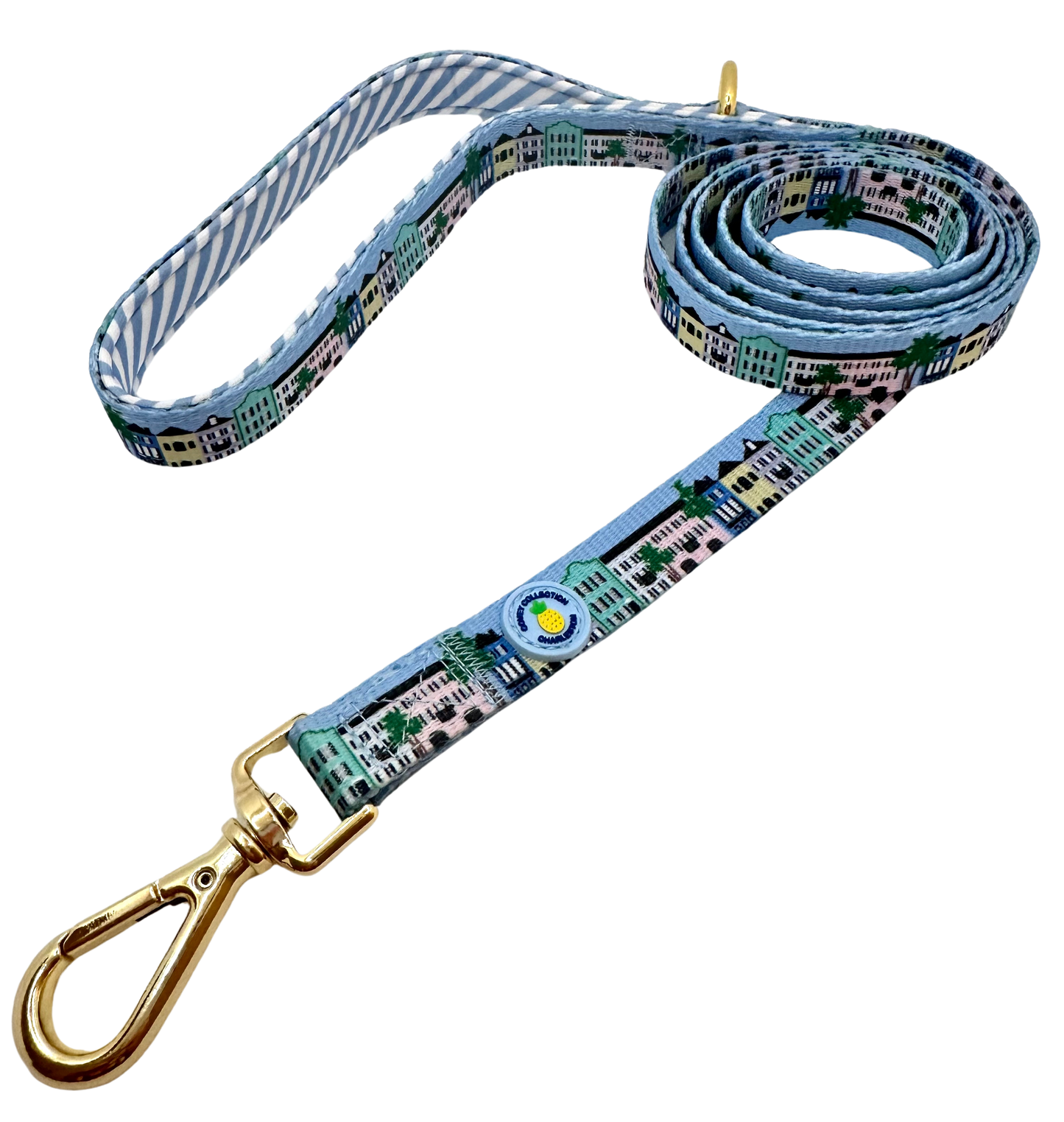 Rainbow Row Leash