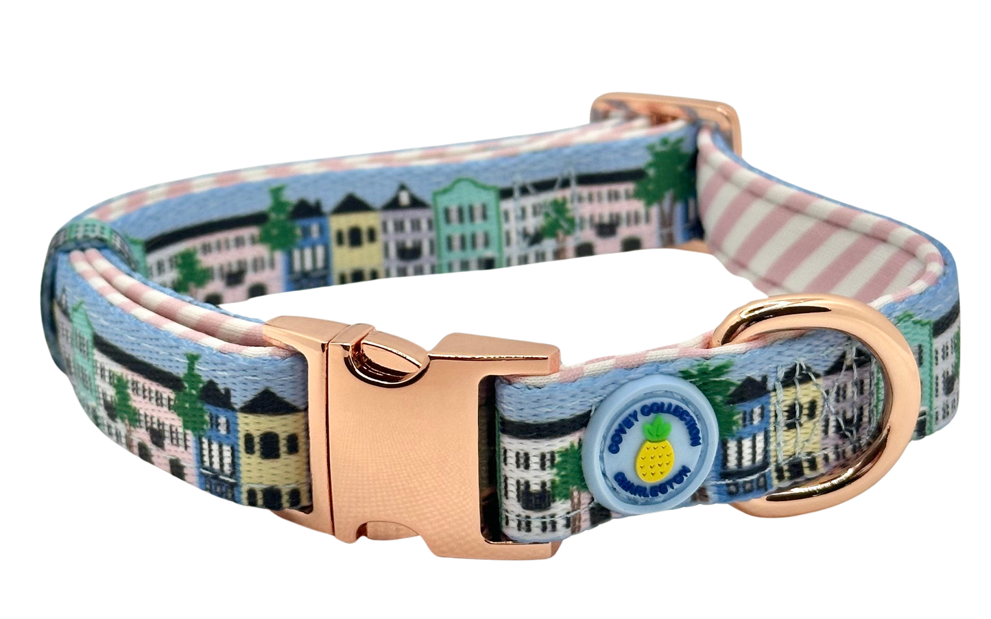 Rainbow Row Dog Collar