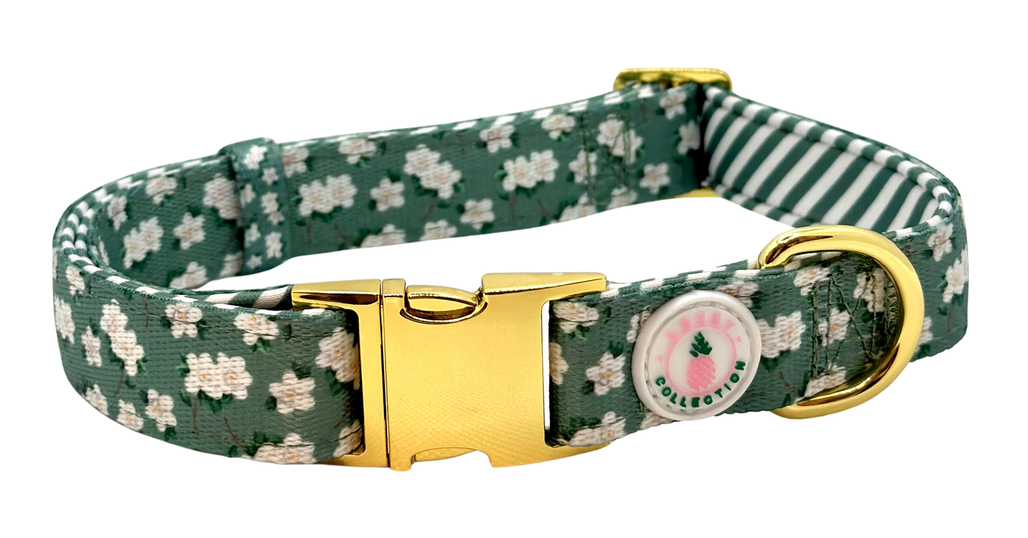 Magnolia Dog Collar
