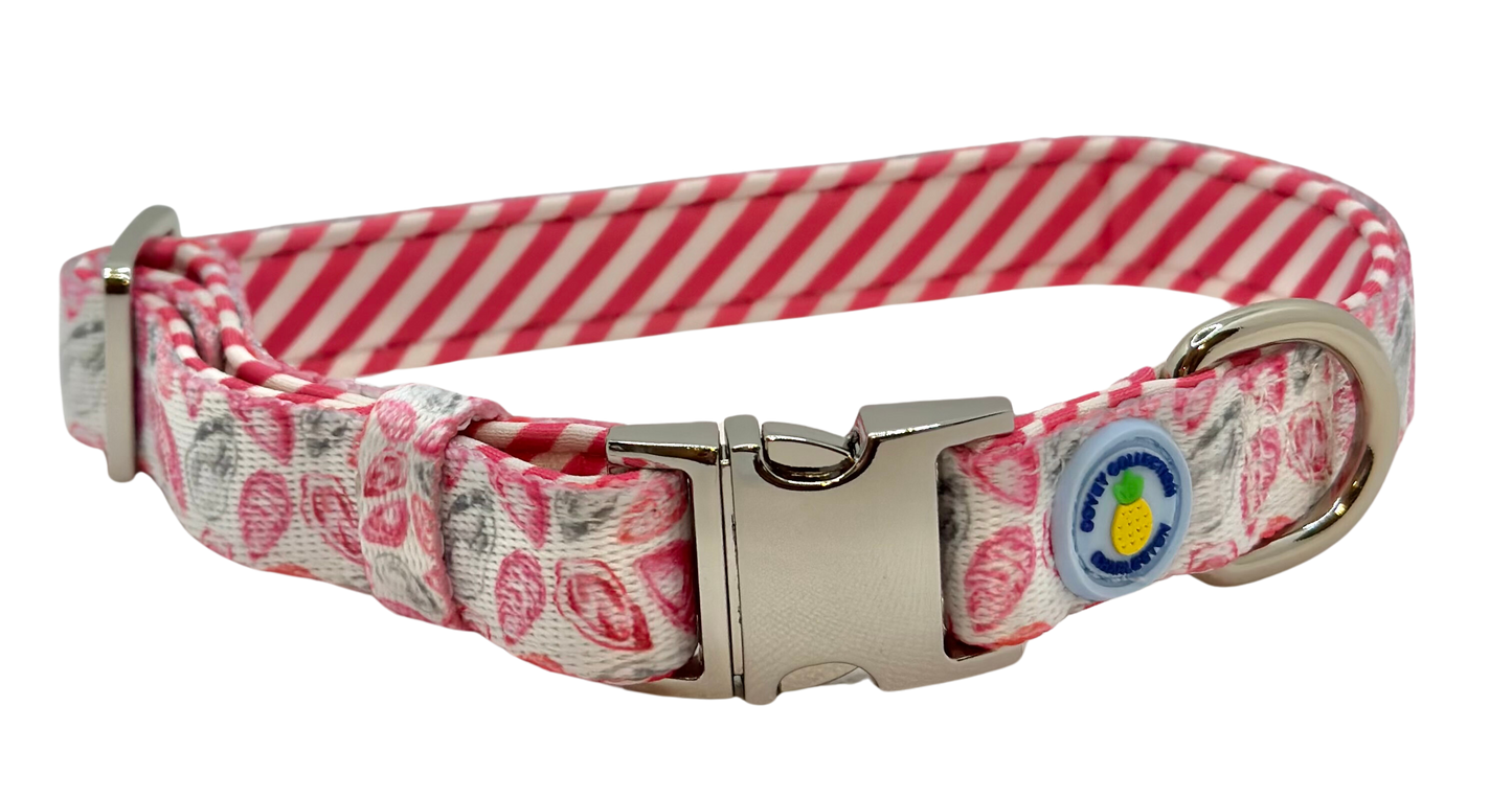 Pink Oyster Dog Collar