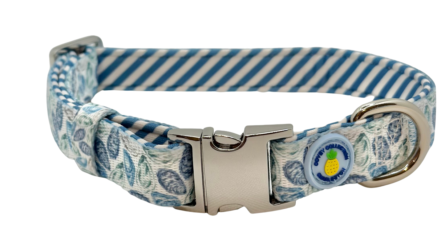 Blue Oyster Dog Collar