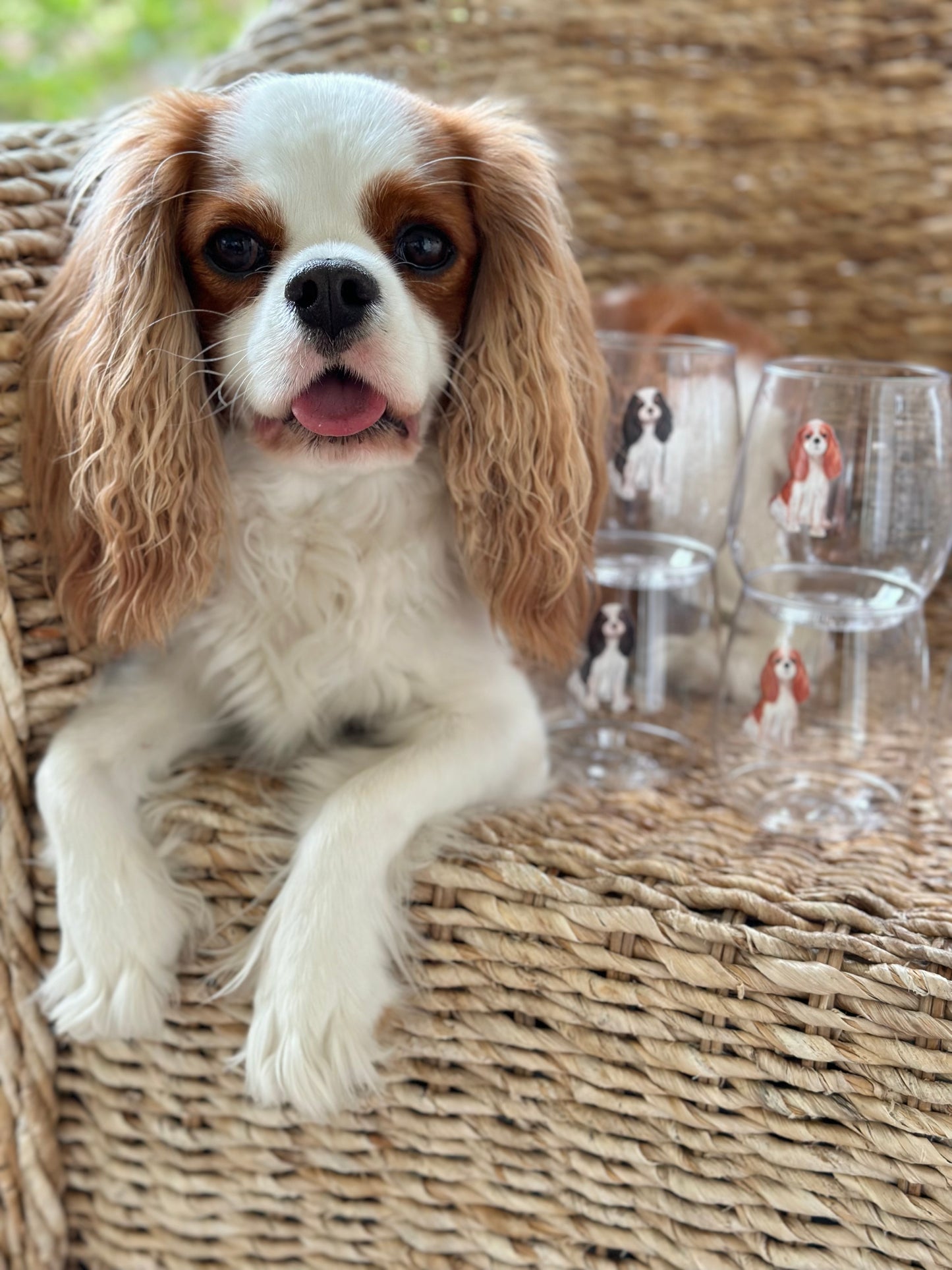 Cavalier Shatterproof Wine Glasses - Clear Set