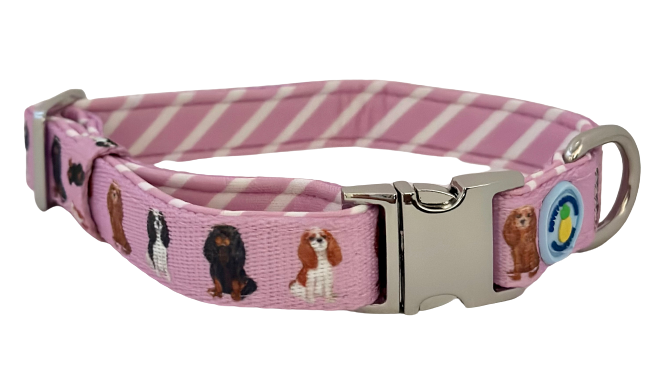 Cavalier Dog Collar - Pink