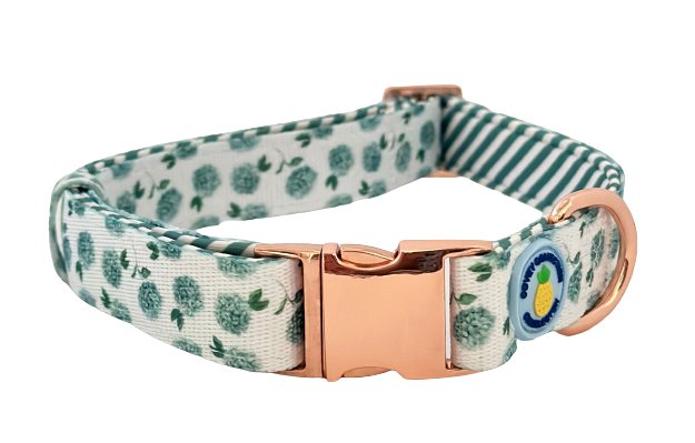 Green Hydrangea Dog Collar