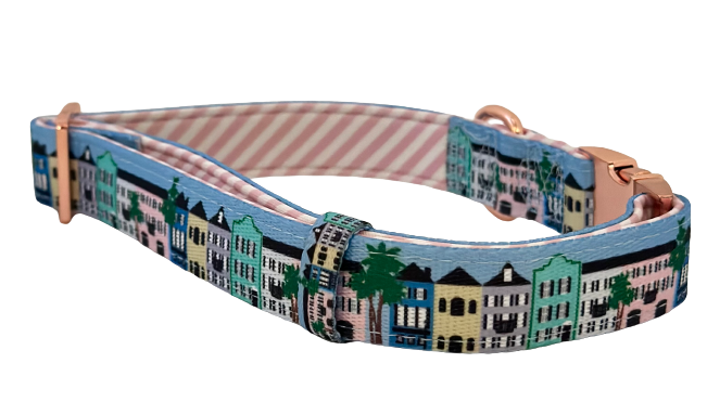 Rainbow Row Dog Collar