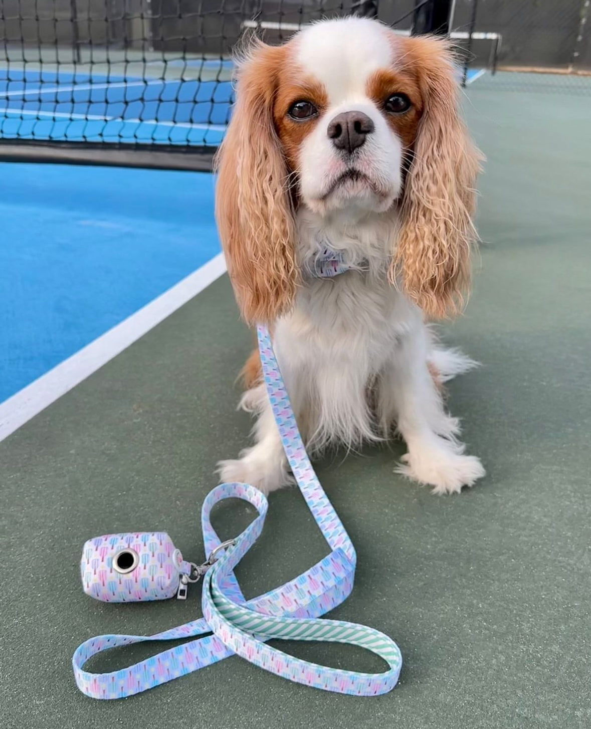 Pickleball Waste Bag Holder