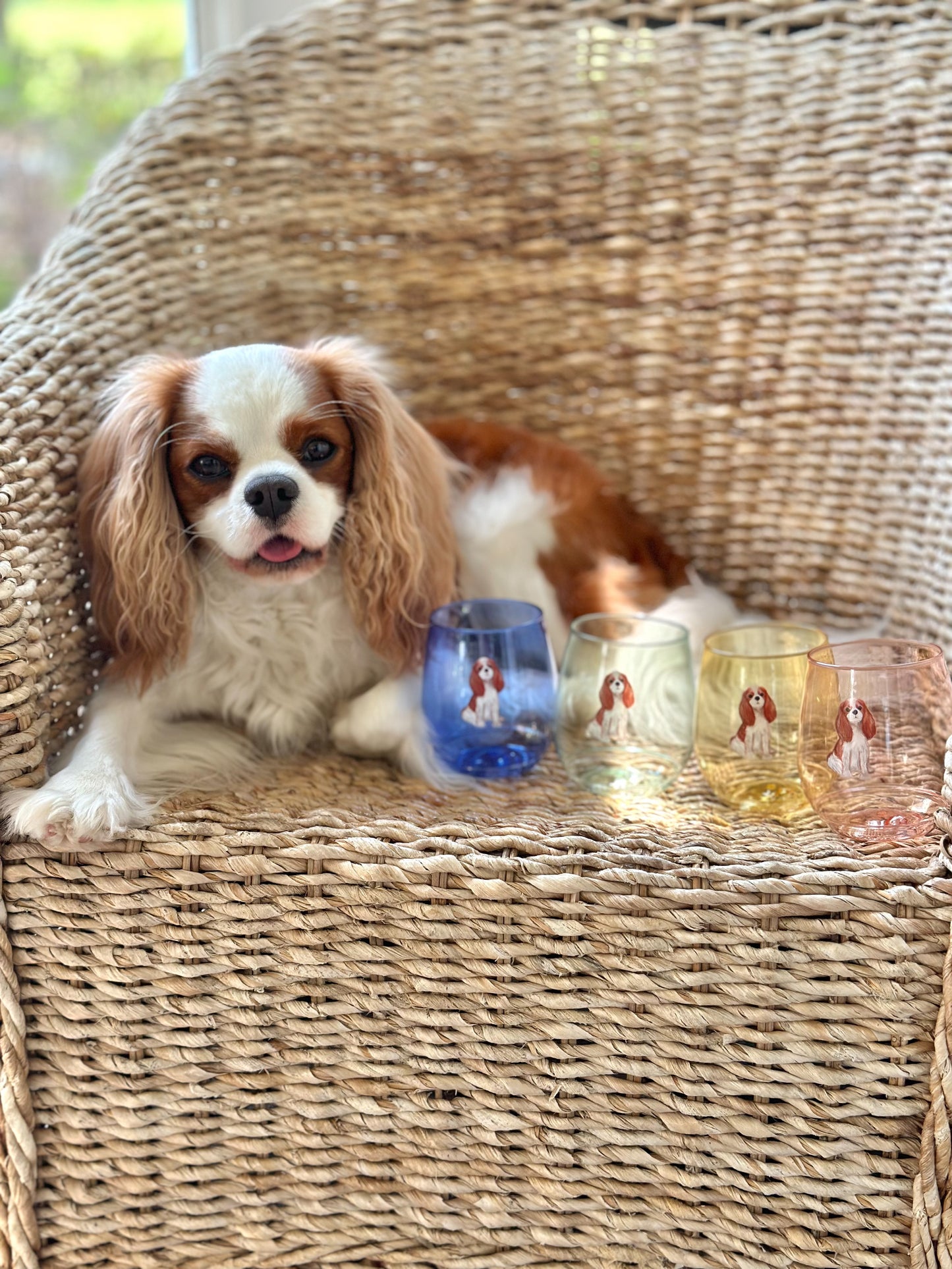 Blenheim Cavalier Shatterproof Wine Glasses - Color Set