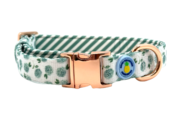Green Hydrangea Dog Collar