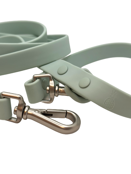 All-Weather Leash: Sea Mist