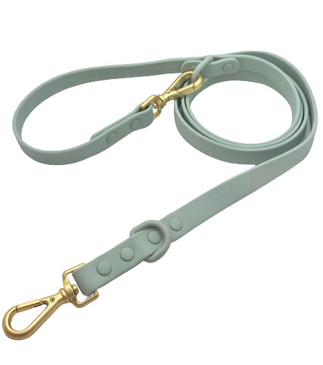 All-Weather Leash: Sea Mist
