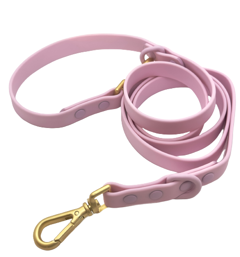 All-Weather Leash: Shell Pink