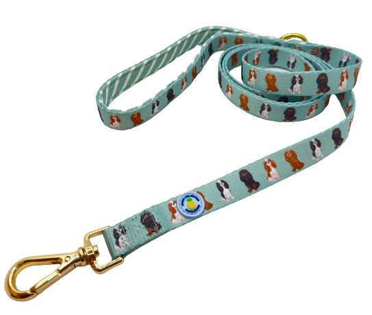 Cavalier Leash - Mint Green