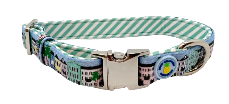 Rainbow Row Dog Collar
