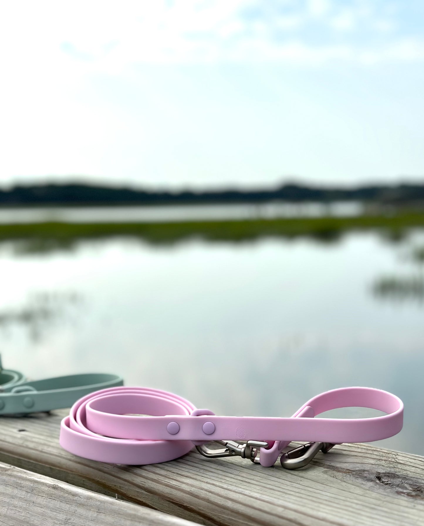 All-Weather Leash: Shell Pink